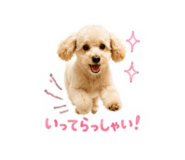 864795761