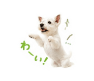 864795764