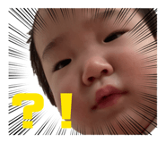 864795816