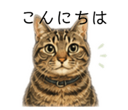 864796770