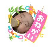 864805221