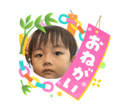 864805254