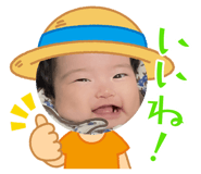 864805300