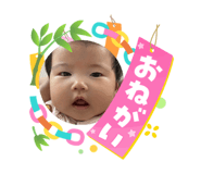 864805303