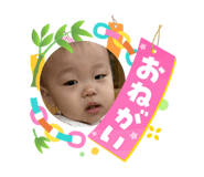 864805488