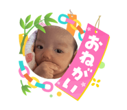 864805527