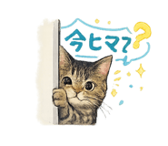 864805575