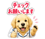 864806290