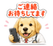 864806304