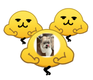864806599