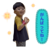 864807537