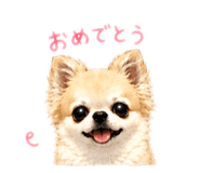864807627