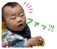 864807728
