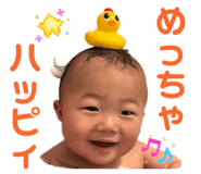 864807731