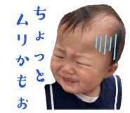 864807733