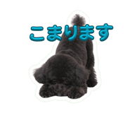 864807939