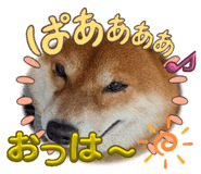 864808690