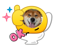 864808697