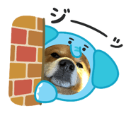 864808703