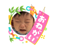 864808726