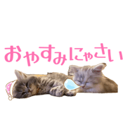 864809929