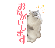 864809935