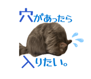864809940
