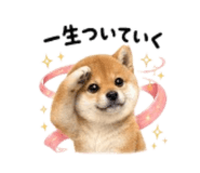 864810541