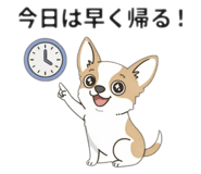 864811646