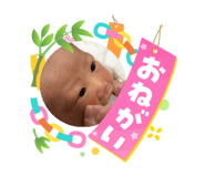 864811664