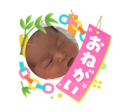 864811901