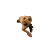 864813612