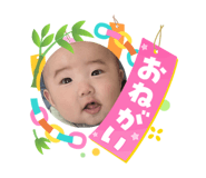 864813815