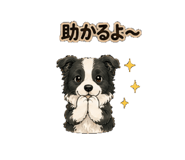 864813951