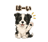 864813964