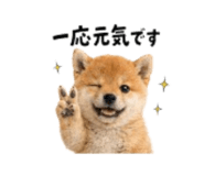 864814969