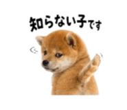 864814973