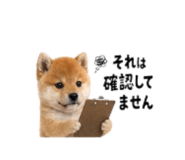 864814974