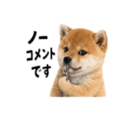 864814975