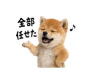 864814982