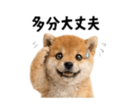 864814994