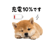 864815008