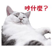 864818153