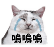 864818155