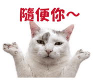 864818174