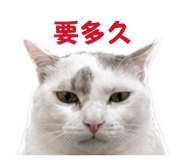 864818180
