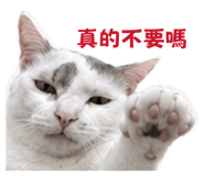 864818183