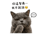 864818667