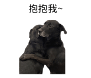 864821880
