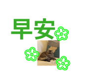 864824762